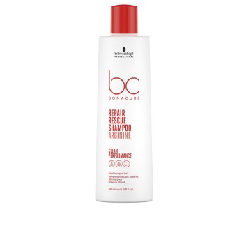 BC REPAIR RESCUE